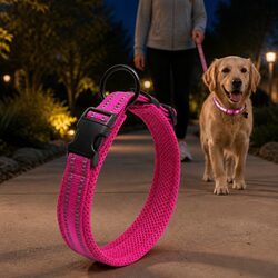 Comfortable and Safe Reflective Dog Collar in Pink