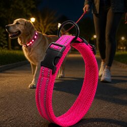 Secure and Comfortable Reflective Dog Collar 2XL Pink