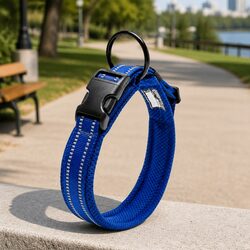 Reliable Reflective Dog Collar with Safety Features