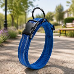 Comfortable and Practical Blue Reflective Dog Collar 2XL