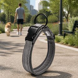 Comfort and Value in a 2XL Reflective Dog Collar