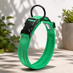 Comfortable Green Dog Collar with Reflective Features 2XS