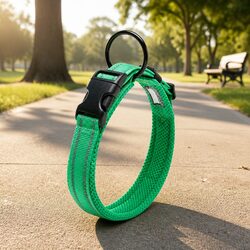 Reassuring XS Green Dog Collar with Safety Features