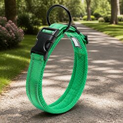 Heavy Duty Dog Collar XL with Reflective Safety Features for Night Visibility