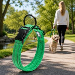 Practical Reflective Dog Collar with Secure Clip