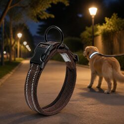 Reliable and Safe Reflective Dog Collar for Your Pet