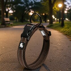 Heavy Duty Reflective Dog Collar with Safety Lock Clip Buckle Stainless Steel O