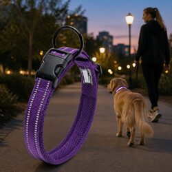 Comfortable and Reliable XS Purple Reflective Dog Collar