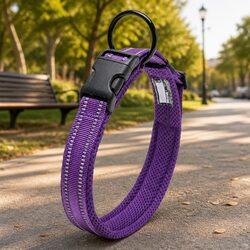 Comfort and Safety Combined in a Reflective Dog Collar