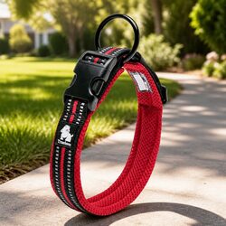 Comforting XS Reflective Dog Collar with Safety Lock