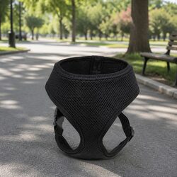 Comfortable XS Dog Harness with Adjustable Features