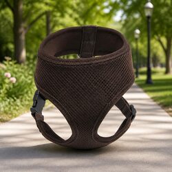 Comfort and Value in the XS Brown Dog Harness