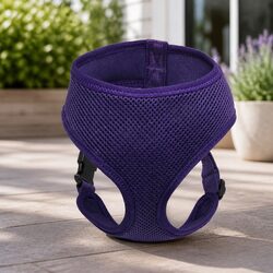 Comfortable Dog Harness in Purple: Lightweight and Secure