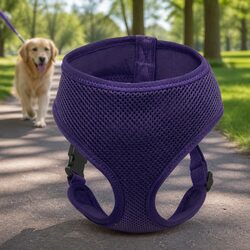 Comfort Meets Practicality in This XL Purple Dog Harness