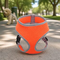 Comfortable and Reliable Dog Harness in Orange