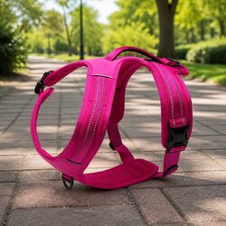 Comfort and Reliability in Our Reflective Dog Harness