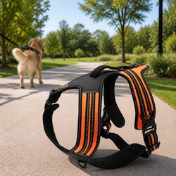 Sports Dog Harness No Pull Reflective Medium Large Extra Heavy Duty Orange L