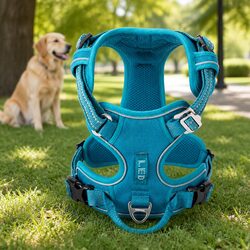 Reliable Large Blue No Pull Dog Harness for Every Walk