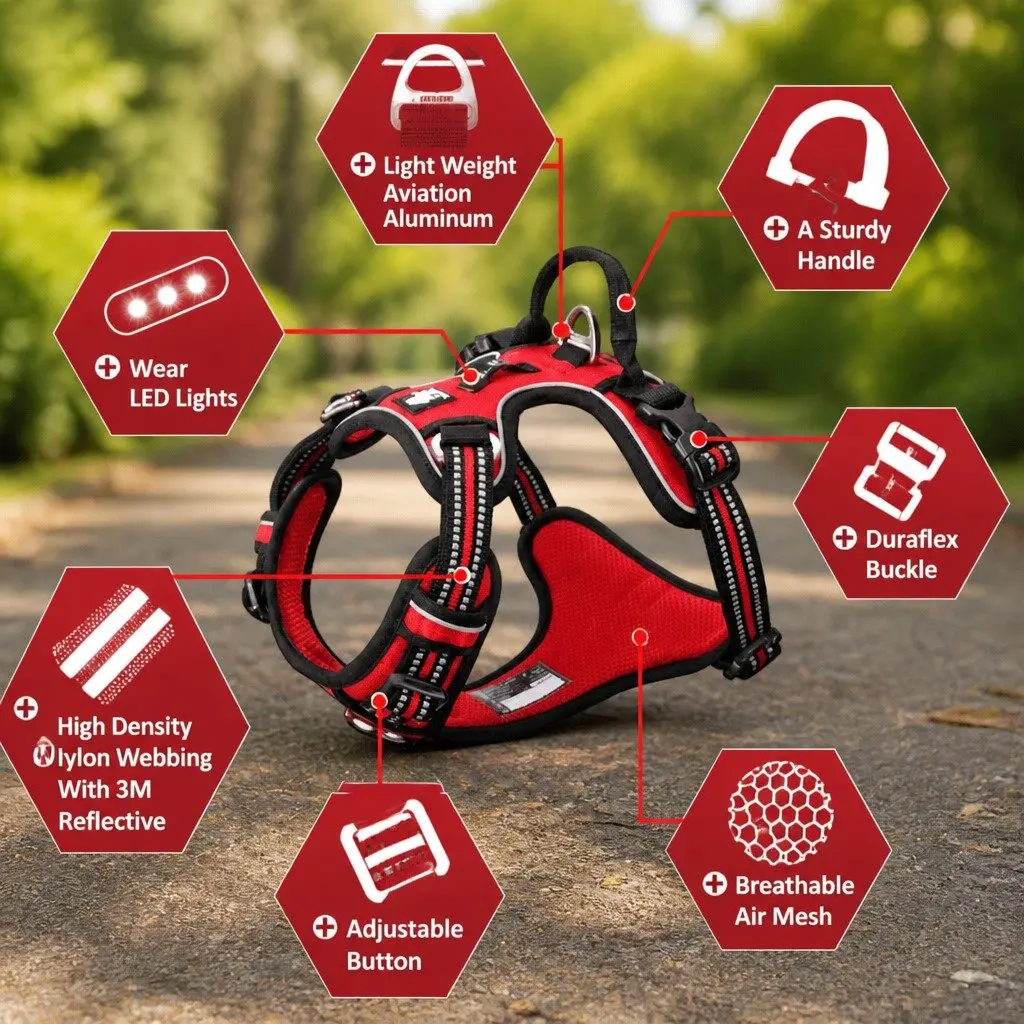 No Pull Dog Harness