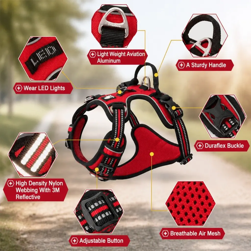 Orange Small No Pull Dog Harness for Comfort