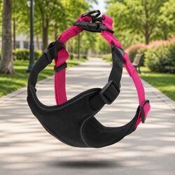 Reliable Dog Harness Offering Comfort and Versatility