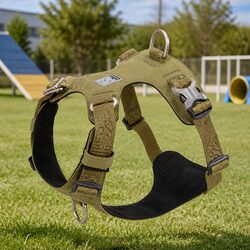 Practical 2XS Green Dog Harness for Training Sessions