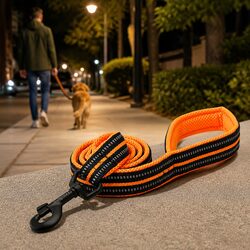 Reflective Dog Leash 2m Nylon Lead Large Pet Walking Orange L