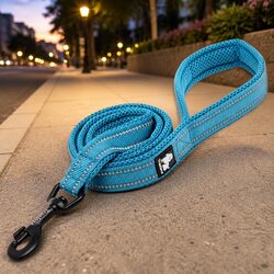 Reflective Dog Leash 2m Nylon Lead Blue M Size Night Walking Pet