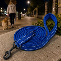 Comfortable Reflective Dog Leash for Large Dogs