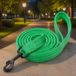 Comfortable Reflective Dog Leash 2m for Peace of Mind