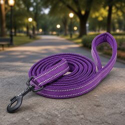 Reliable 2m Purple Reflective Dog Leash for Safe Walking