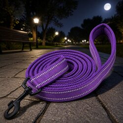 Safe and Reflective 2m Large Pet Leash in Purple