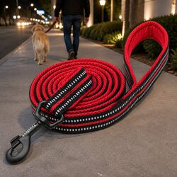 Reliable and Comfortable Reflective Dog Leash 2m