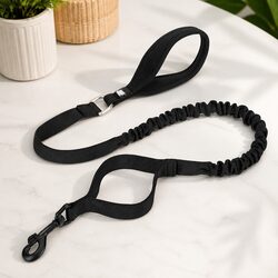 Comfort-Focused Dog Leash with Neoprene Handle