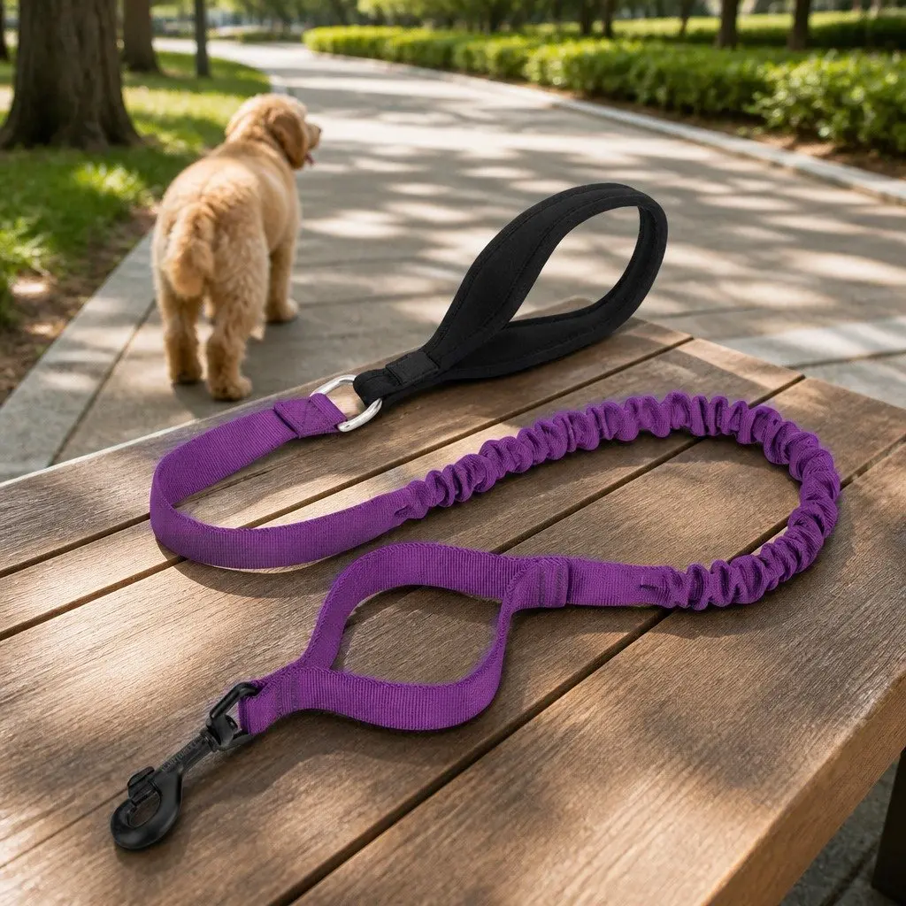 Dog Leash for Training