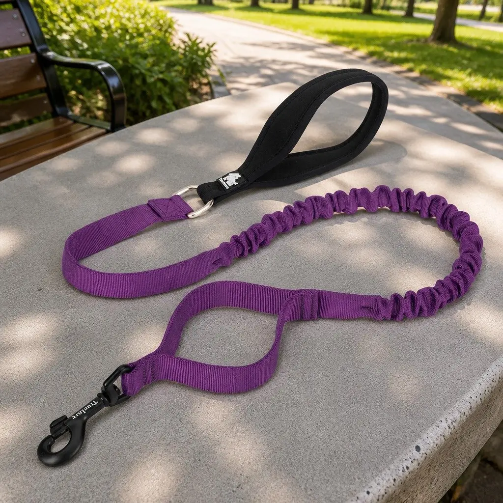 Dog Leash for Training
