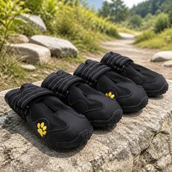 Warm and Protective Dog Shoes for Cold Days