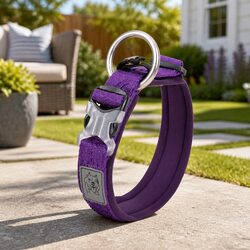 Warm and Practical 2XS Purple Reflective Dog Collar