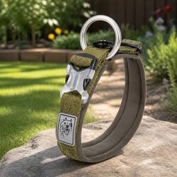 Reassuring Army Green Dog Collar for Your Pet