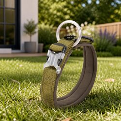 Reliable XL Army Green Dog Collar for Your Puppy