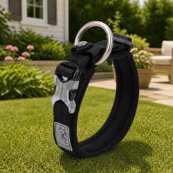 Reliable 2XS Black Dog Collar with Reflective Safety Features