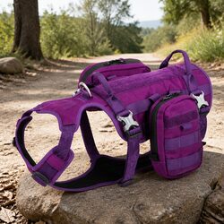 A Reliable Dog Harness Backpack for Your Outdoor Needs