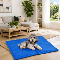 Comfortable and Reliable Pet Cooling Pad for Summer