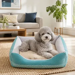 Comforting Medium Dog Bed that Ensures Restful Sleep