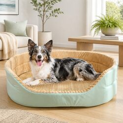 Comfortable and Durable Pet Bed for Your Furry Friend