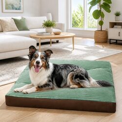 Affordable Pet Bed with Maximum Comfort and Value