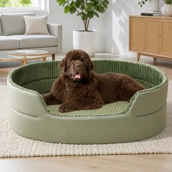 Comfortable Avocado Colored Pet Nest for Your Furry Friend
