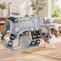 Comfortable and Reliable Dog Harness for Safe Walks