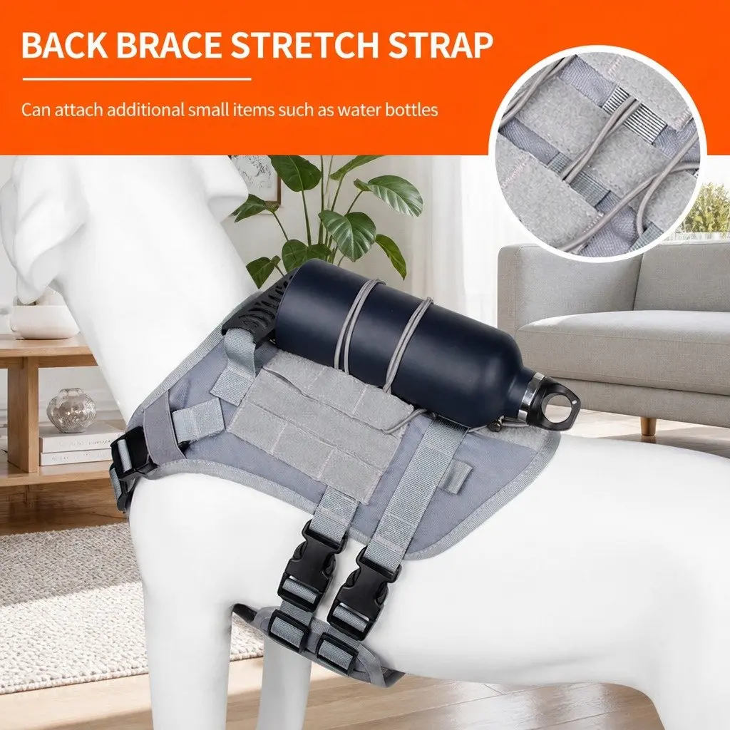 Small Dog Cat Vest Harness Leash Walking Grey S