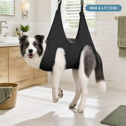The Pet Hammock: A Practical and Comfortable Solution